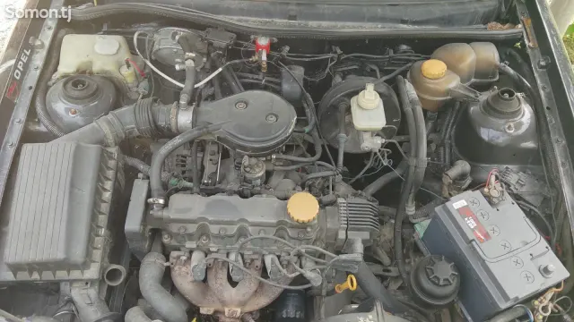 Opel Astra F 1995 · 1.6 MT