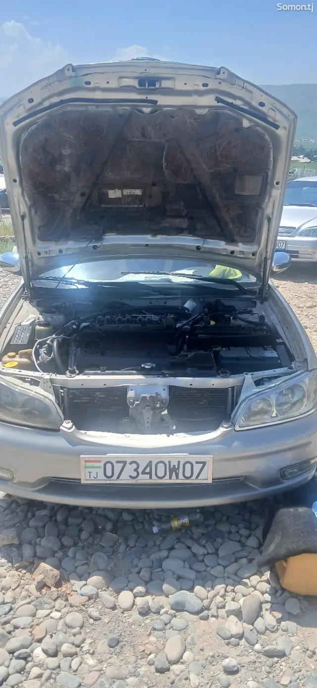 Nissan Maxima 2006 · 2.0 AT