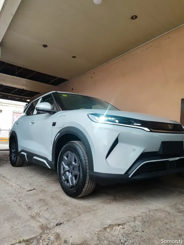 BYD Yuan Up 2025 · AT