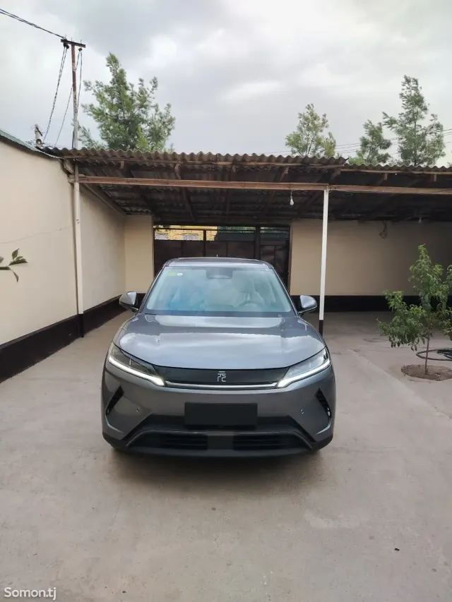 BYD Yuan Up 2025 · AMT