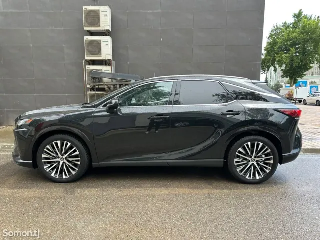 Lexus RX series 2025 · 2.5 AT