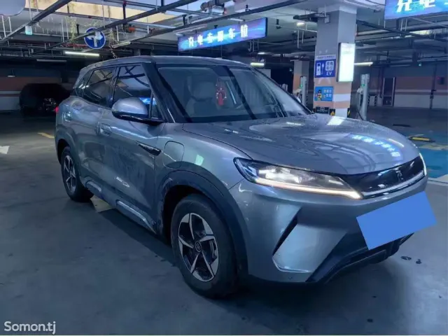 BYD Yuan Up 2024 · AT