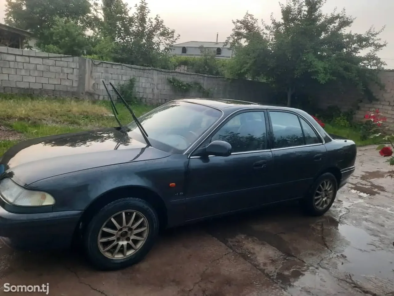 Hyundai Sonata 1996 · 2.0 MT