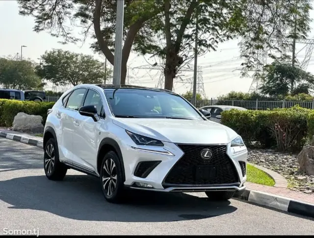 Lexus NX series 2022 · 3.0 AT