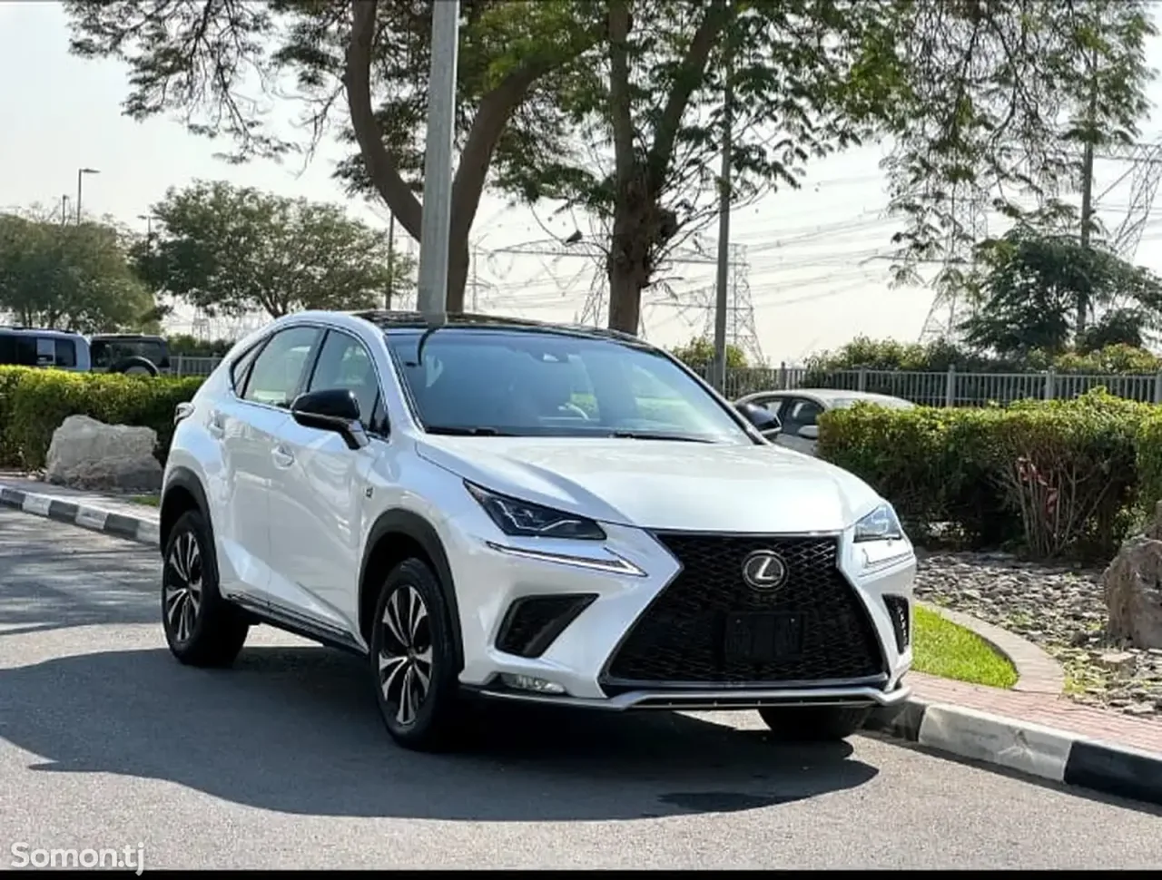 Lexus NX series 2022 · 3.0 AT