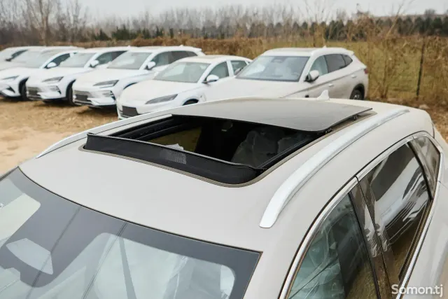 BYD Song Plus 2025 · AMT