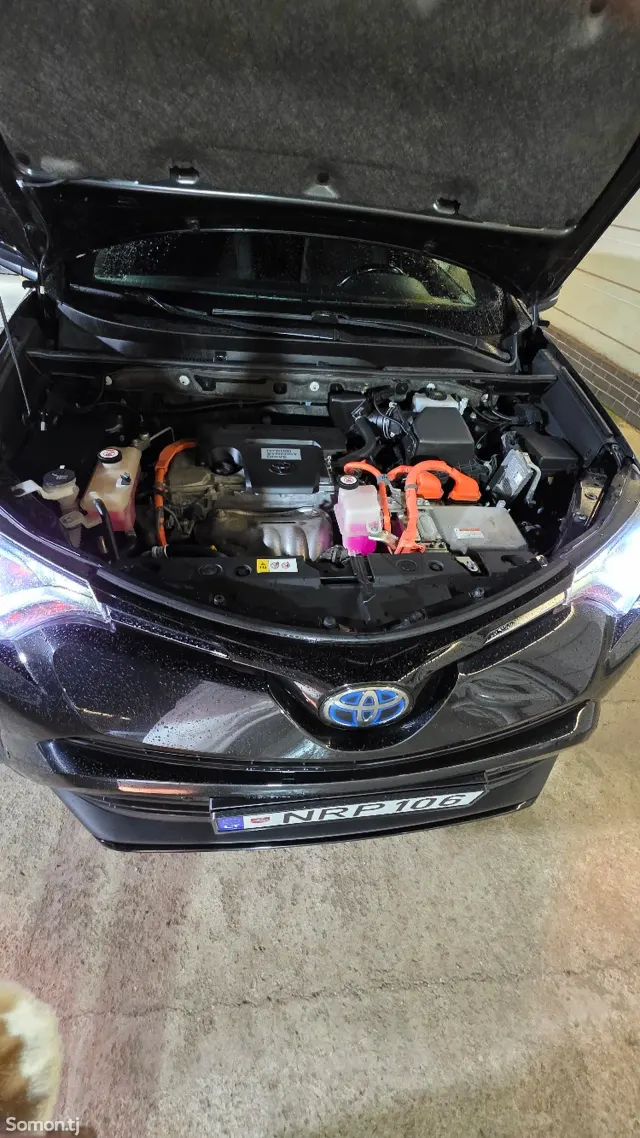 Toyota RAV 4 2018 · 2.5 AT