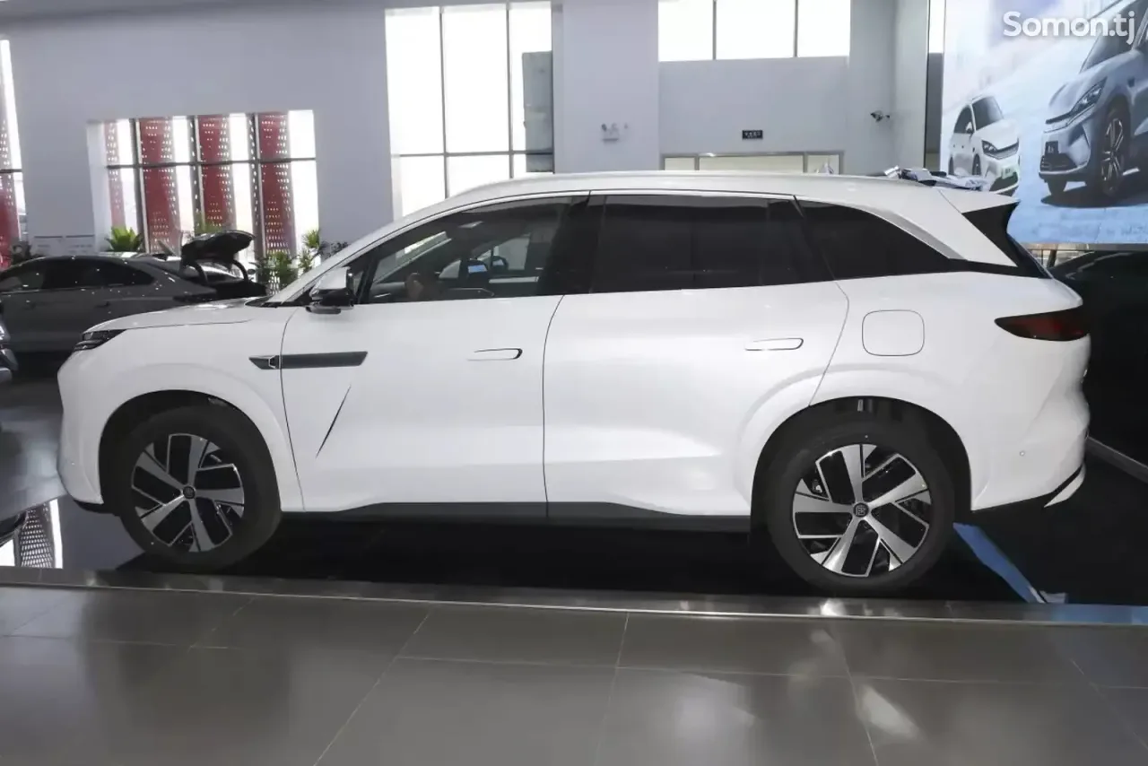 BYD Tang 2025 · AMT