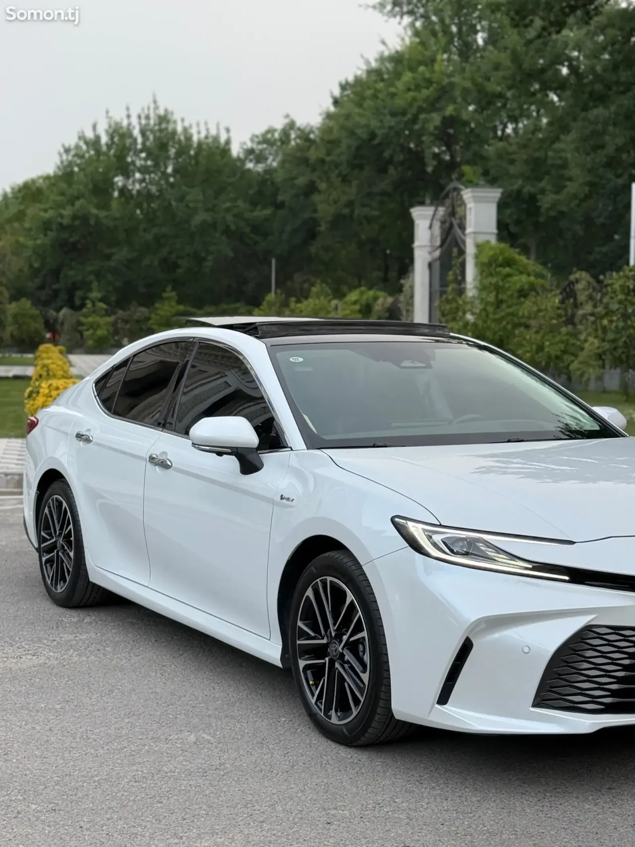 Toyota Camry 2025 · 2.5 AT