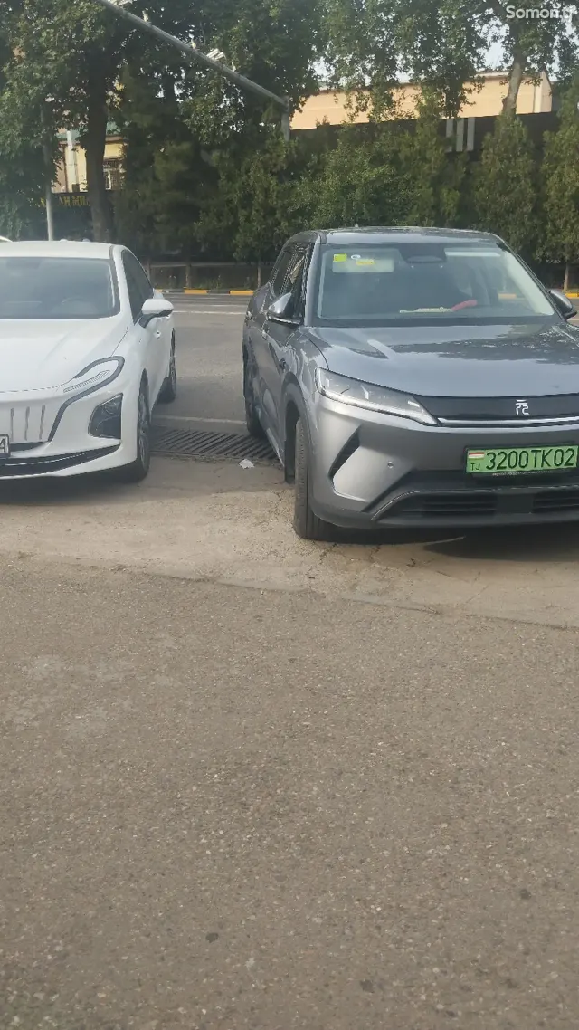 BYD Yuan Up 2025 · AMT