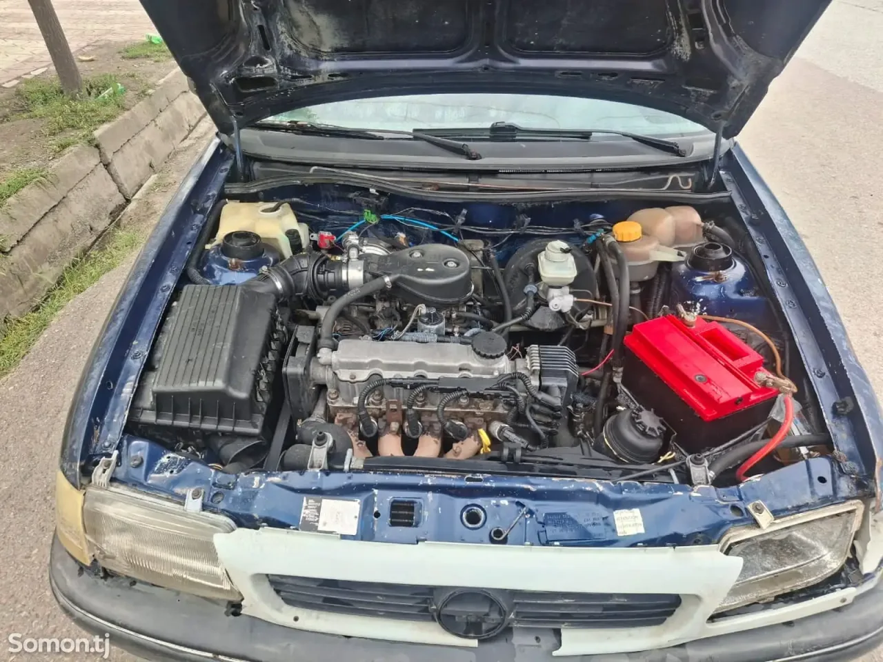 Opel Astra F 1994 · 1.6 MT