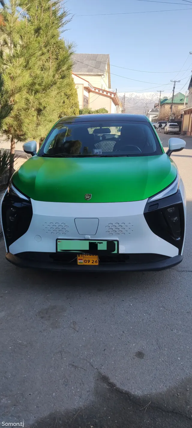 Dongfeng Forthing 2024 · AT