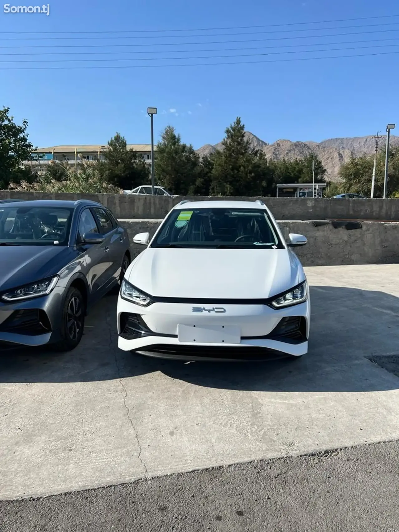BYD E2 2025 · AMT