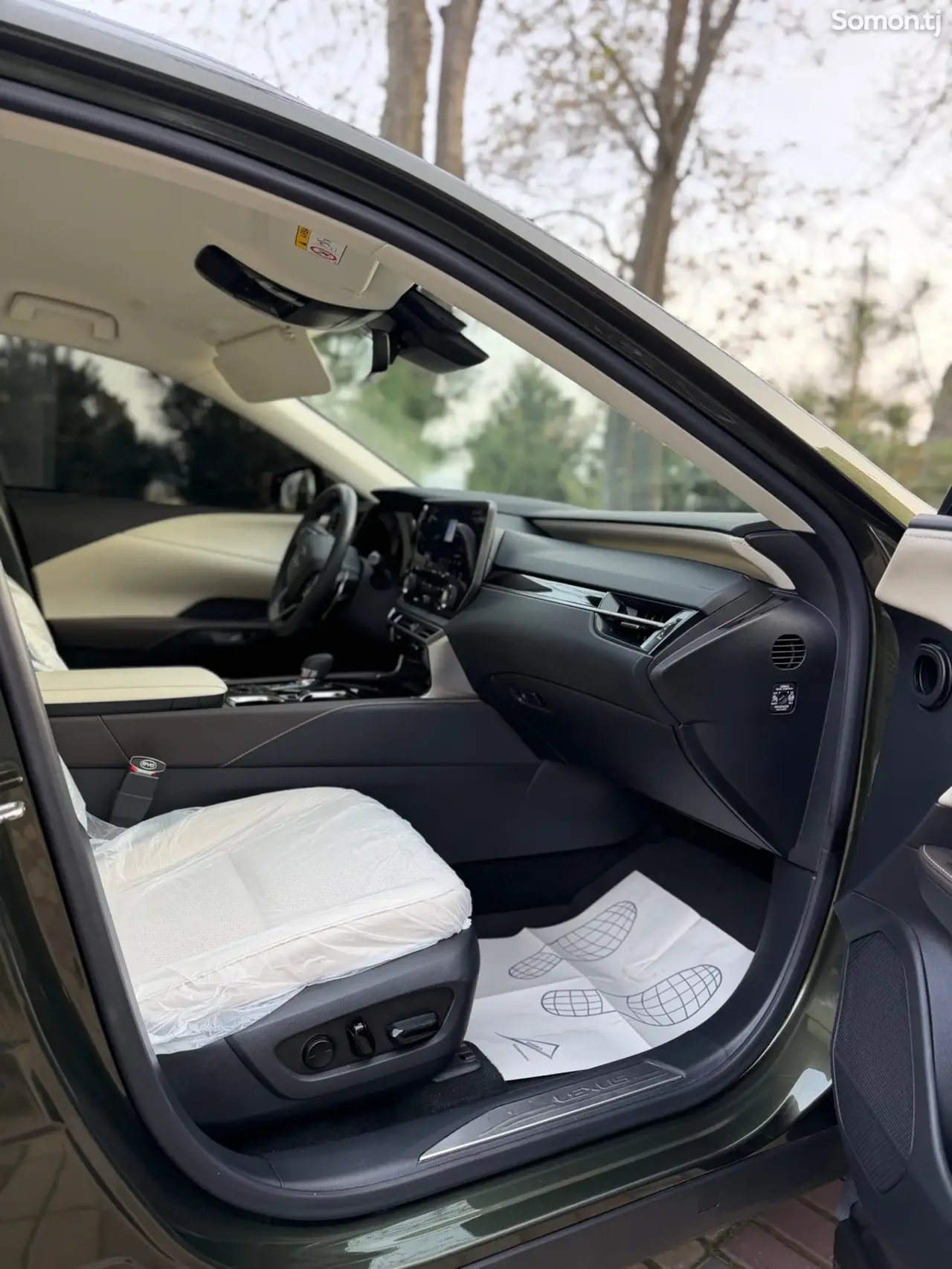 Lexus RX series 2025 · 4.5 AT