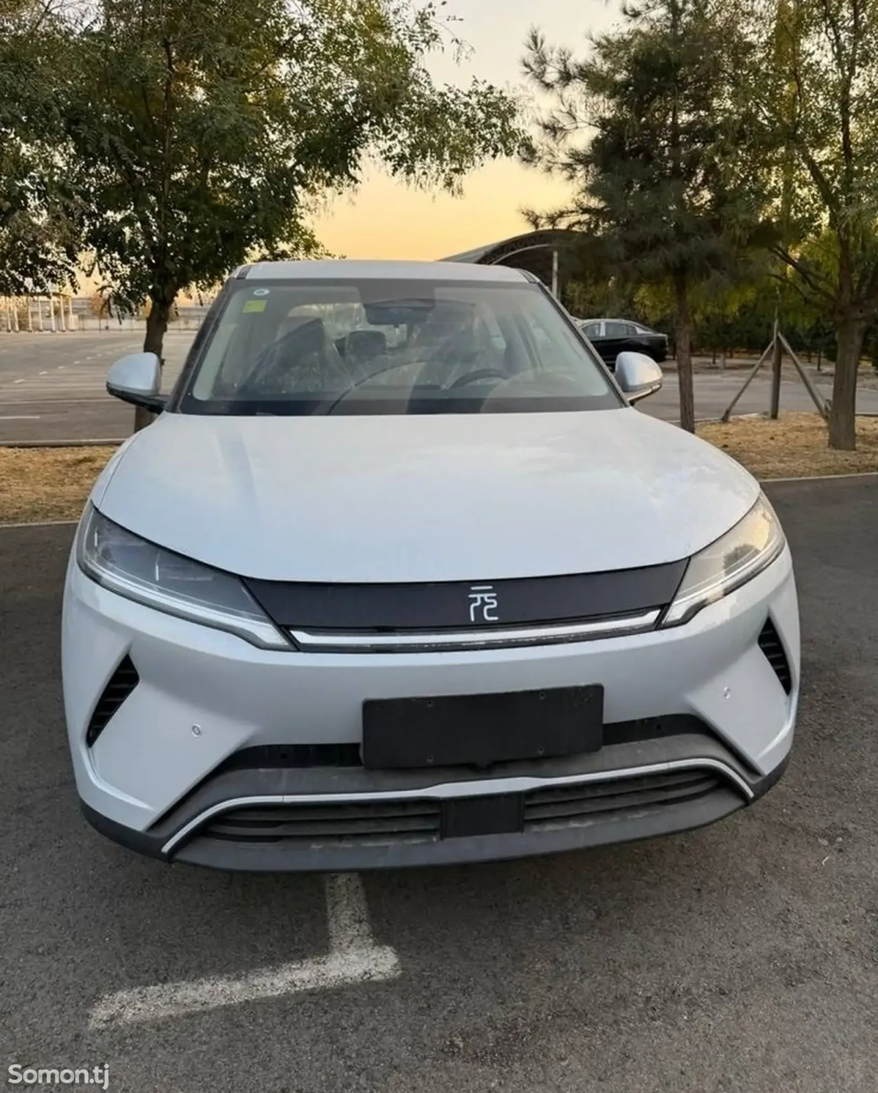 BYD Yuan Up 2025 · AMT