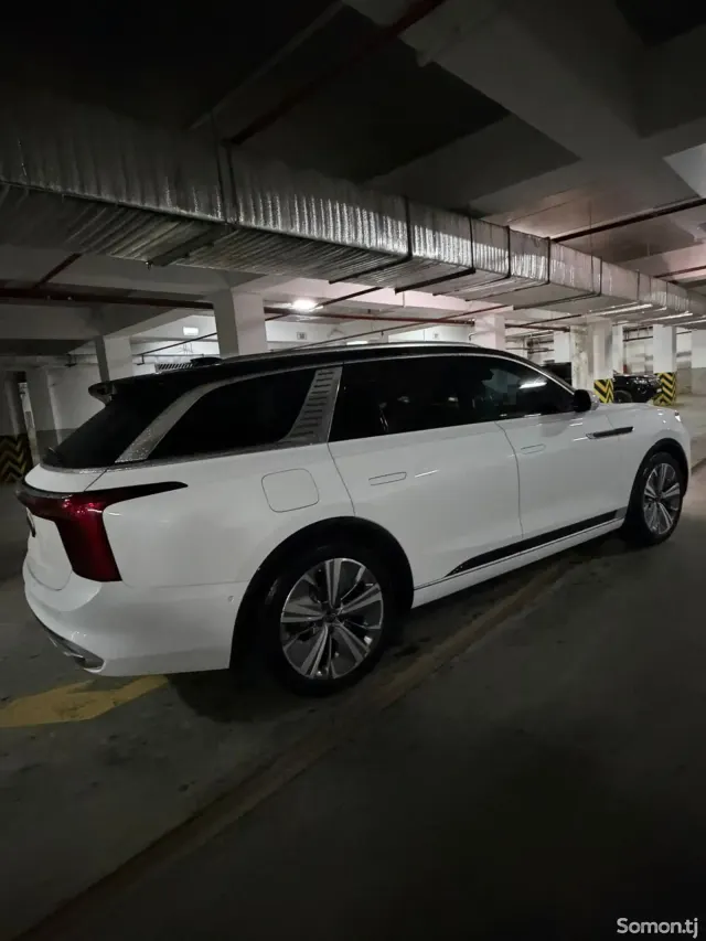 Hongqi HQ9 2024 · 6.5 AT