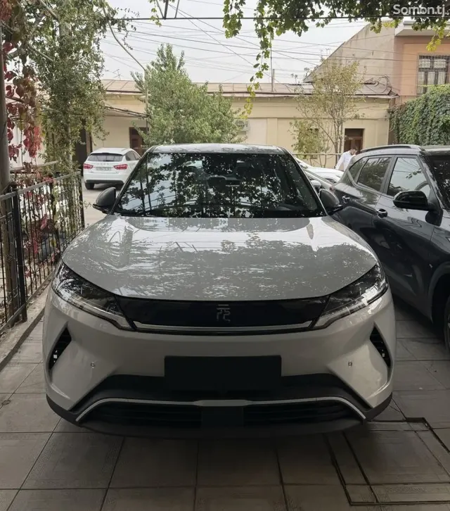 BYD Yuan Up 2025 · AMT
