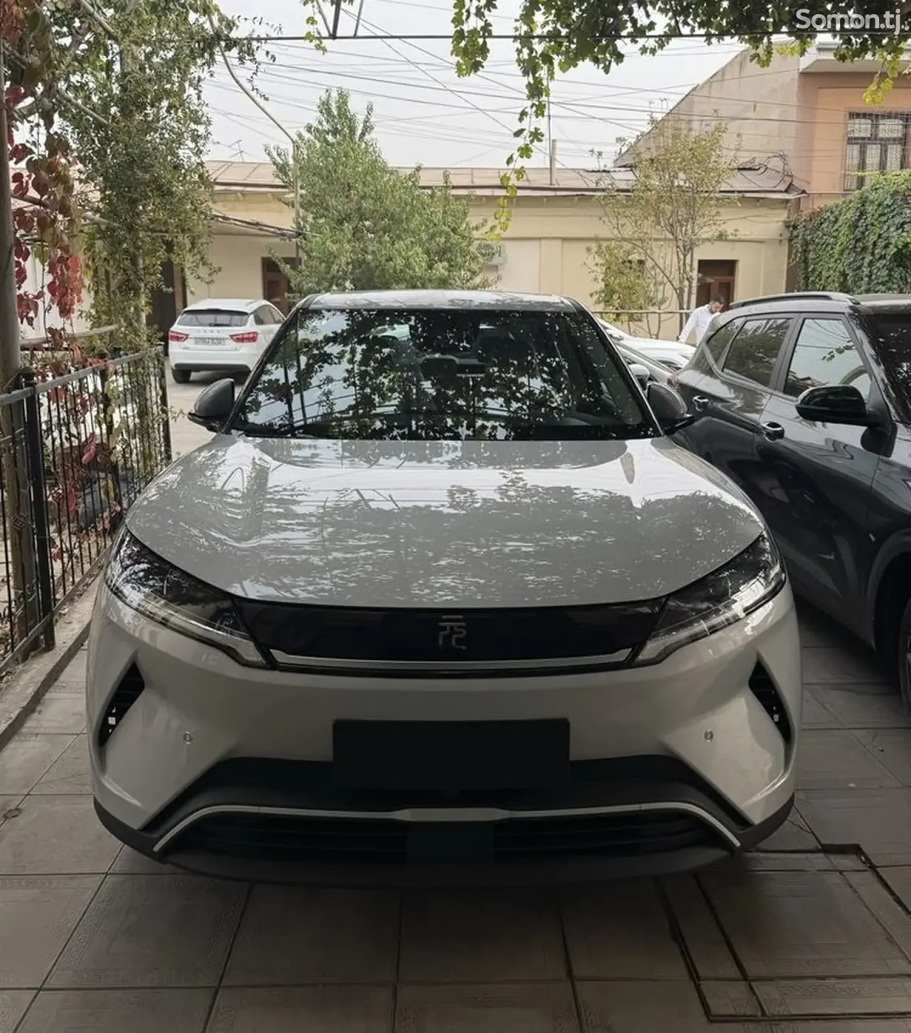 BYD Yuan Up 2025 · AMT