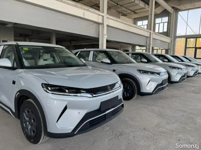 BYD Yuan Up 2025 · AMT