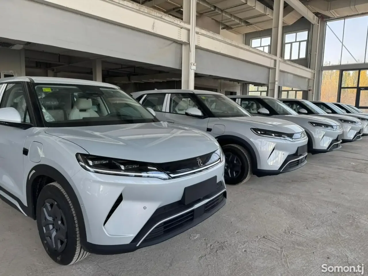 BYD Yuan Up 2025 · AMT