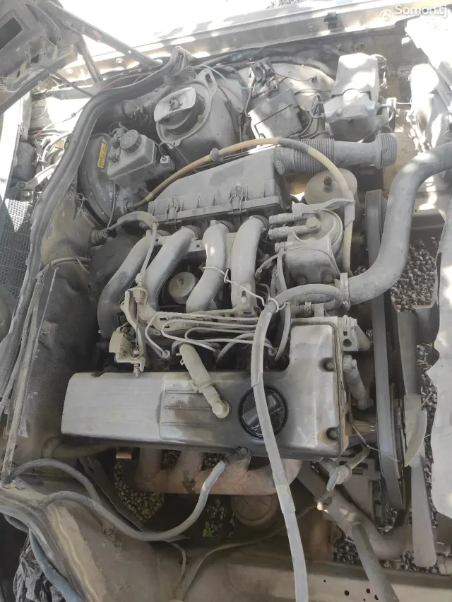 Mercedes-Benz W201 1992 · 1.9 MT