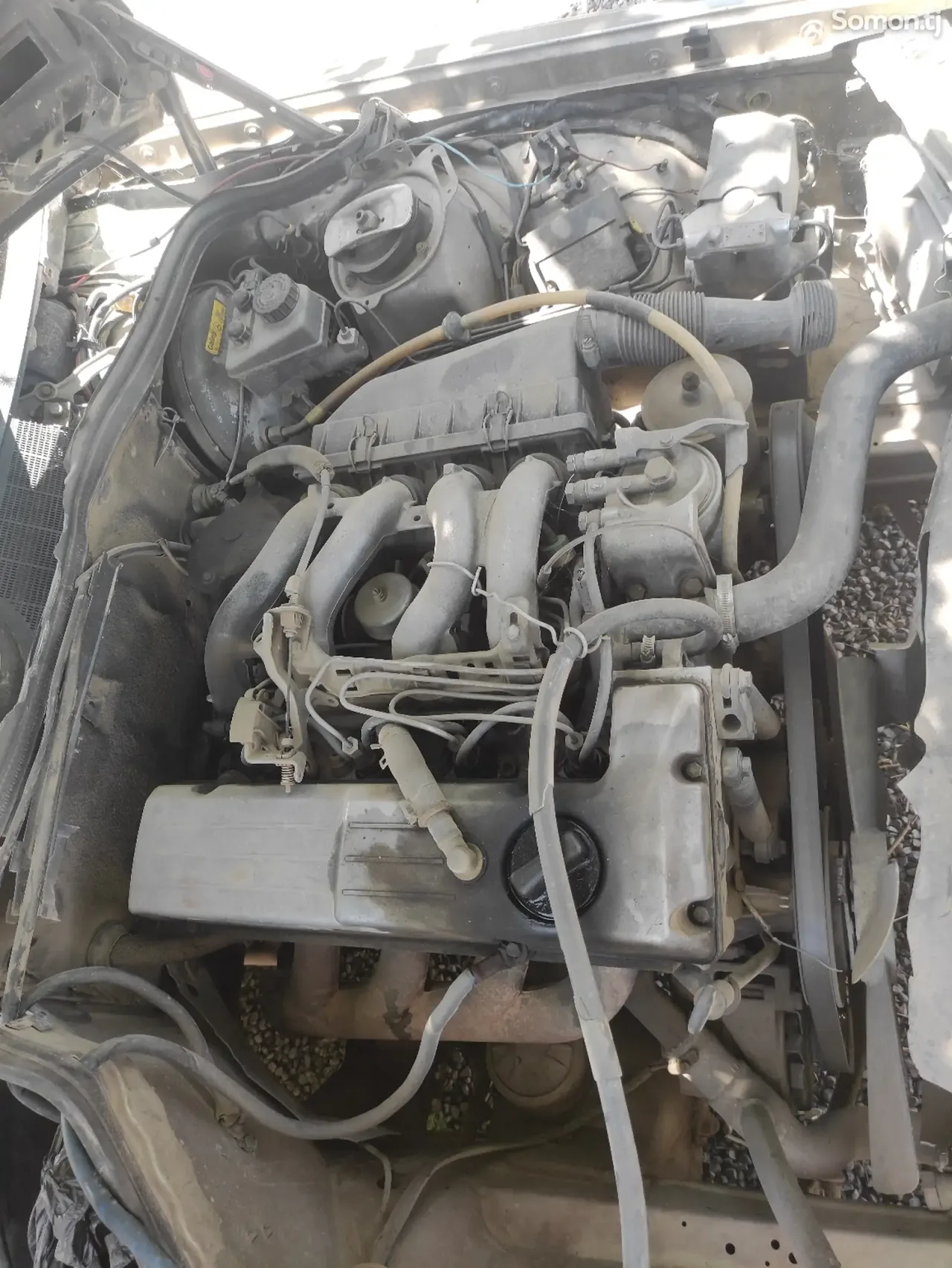 Mercedes-Benz W201 1992 · 1.9 MT