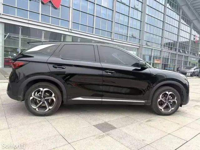 BYD Yuan Plus 2025 · AT