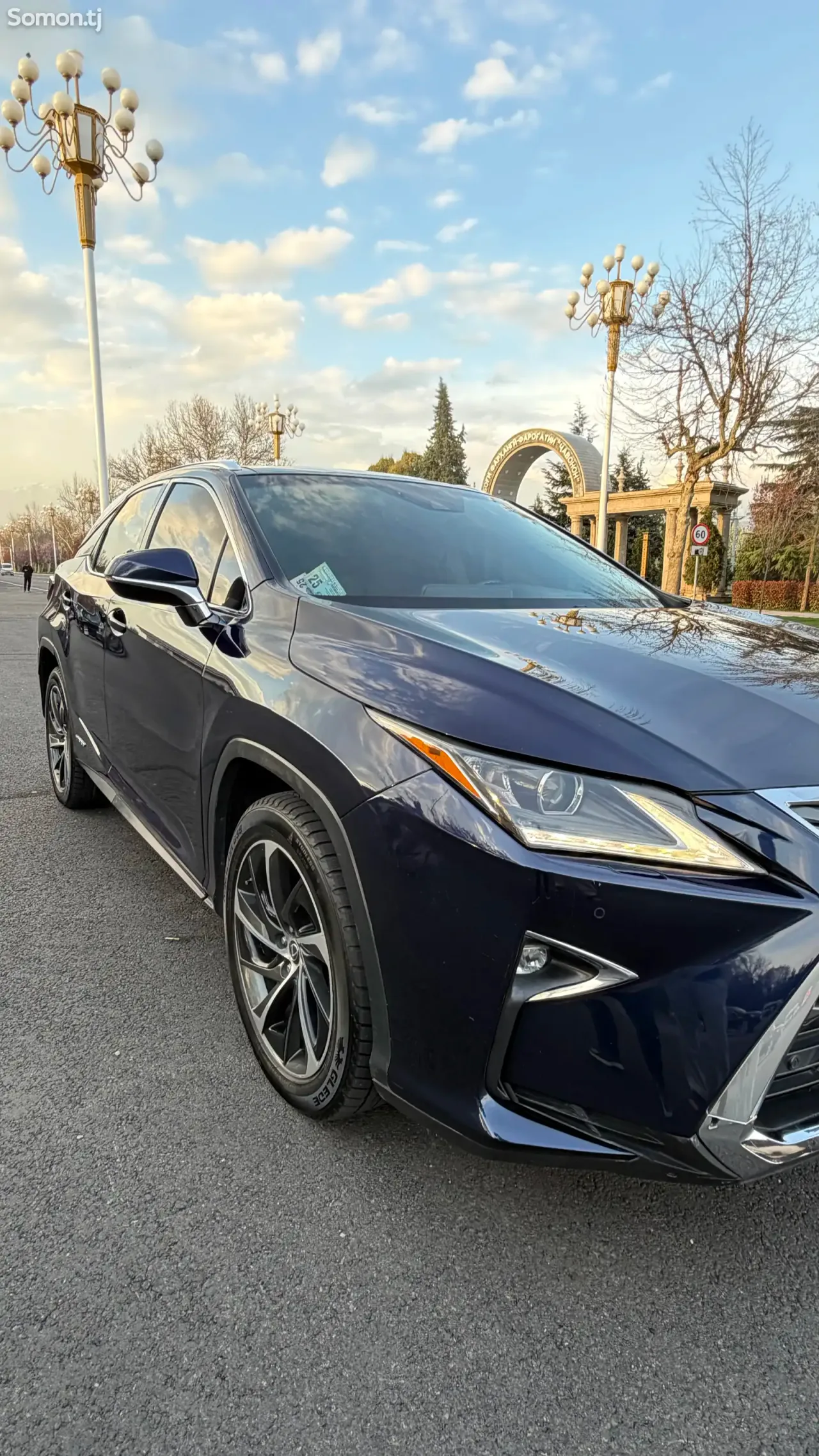 Lexus RX series 2019 · 4.5 AT