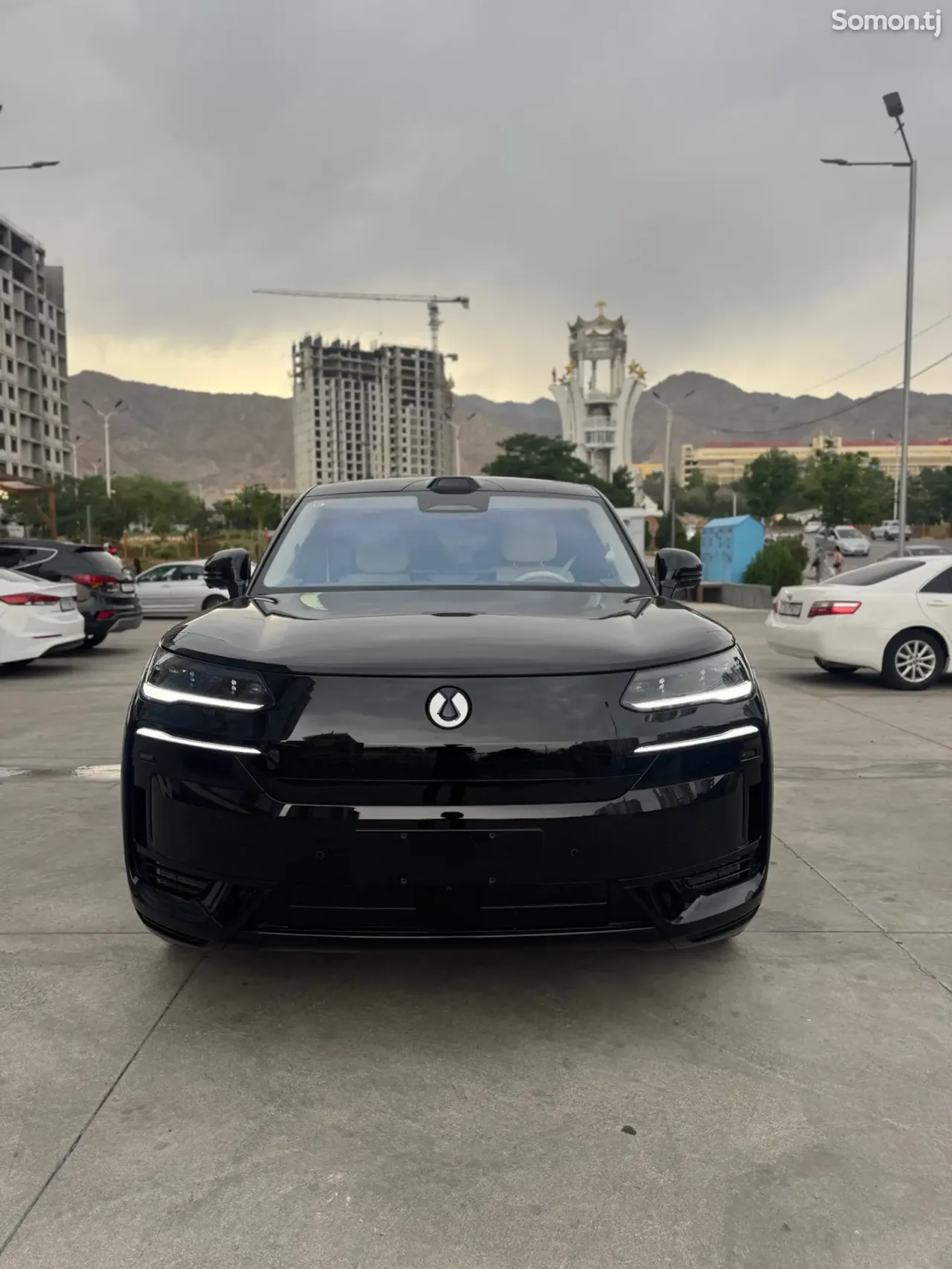 BYD Denza N9 2025 · AT