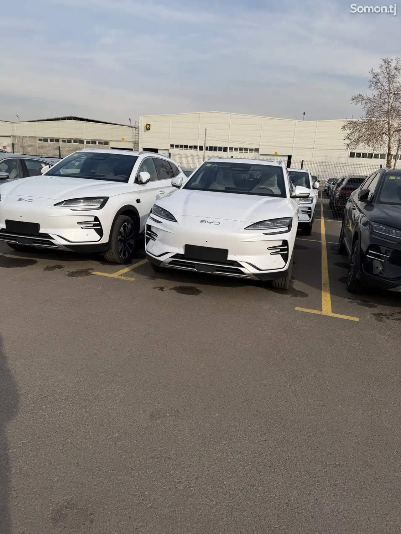 BYD Song Plus 2025 · AMT