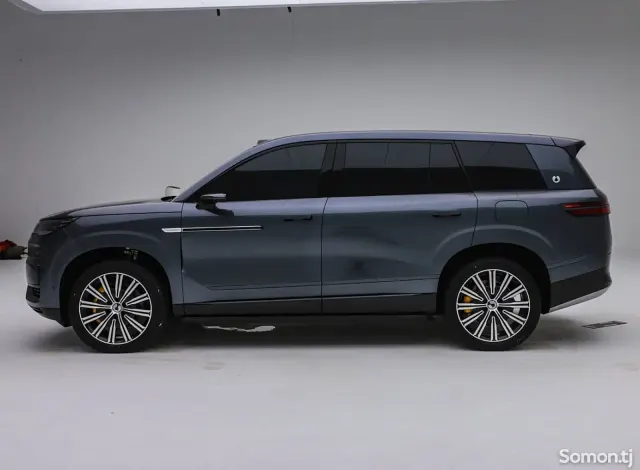 BYD Denza N9 2025 · 2.0 AT