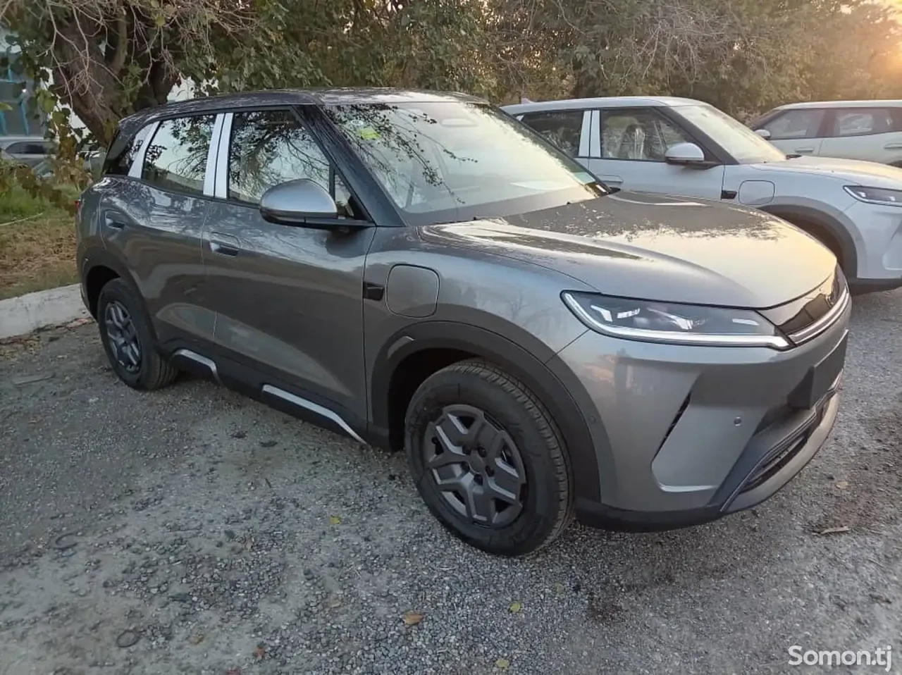BYD Yuan Up 2025 · AT
