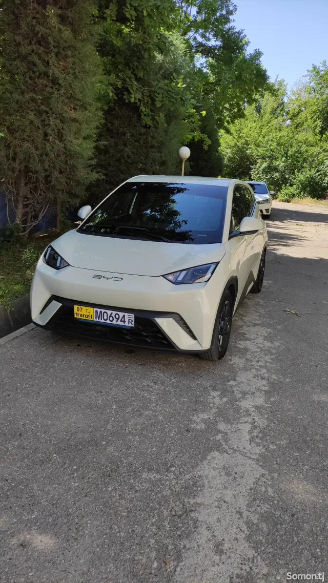 BYD Seagull 2023 · AT