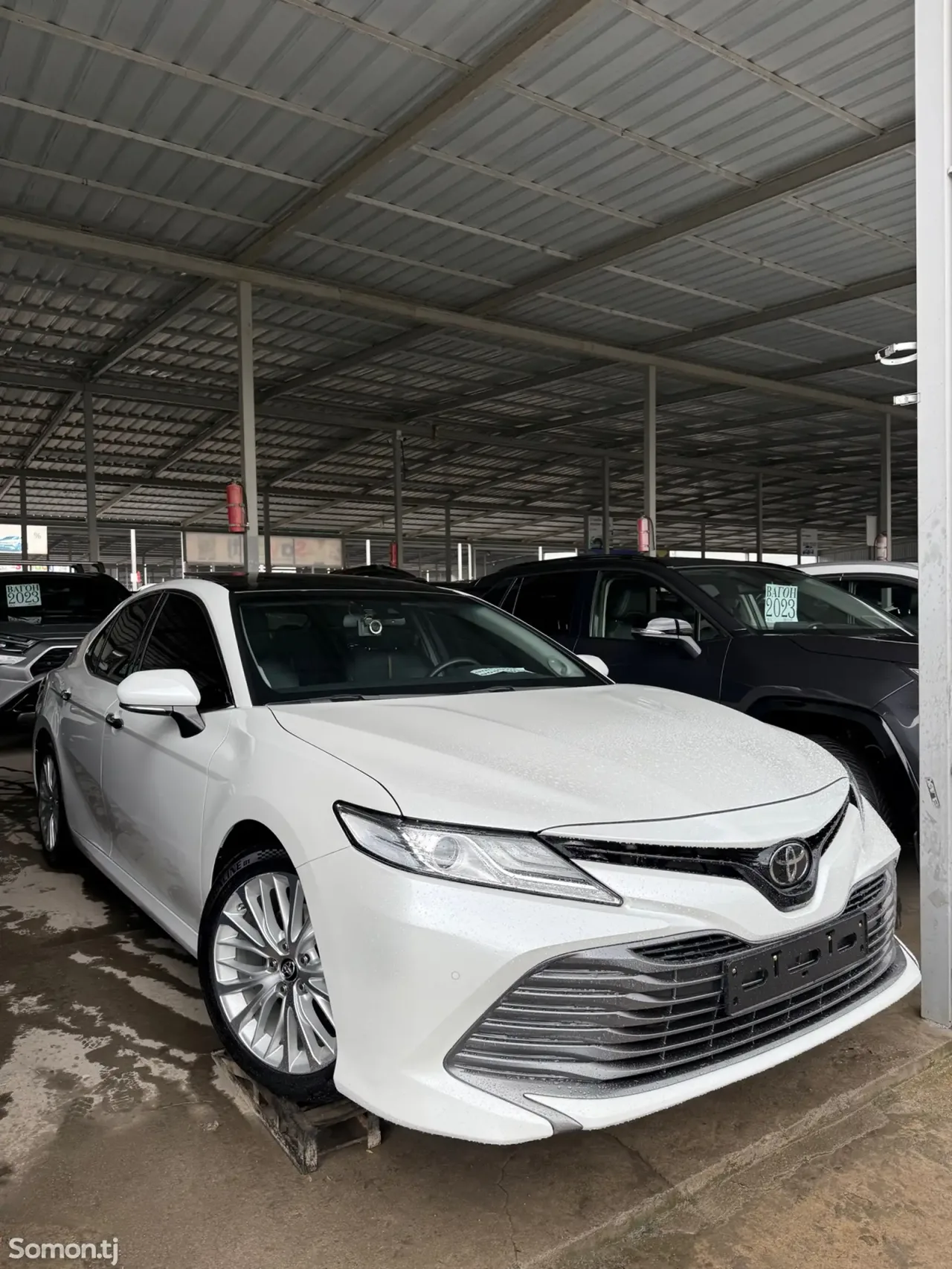 Toyota Camry 2019 · AT