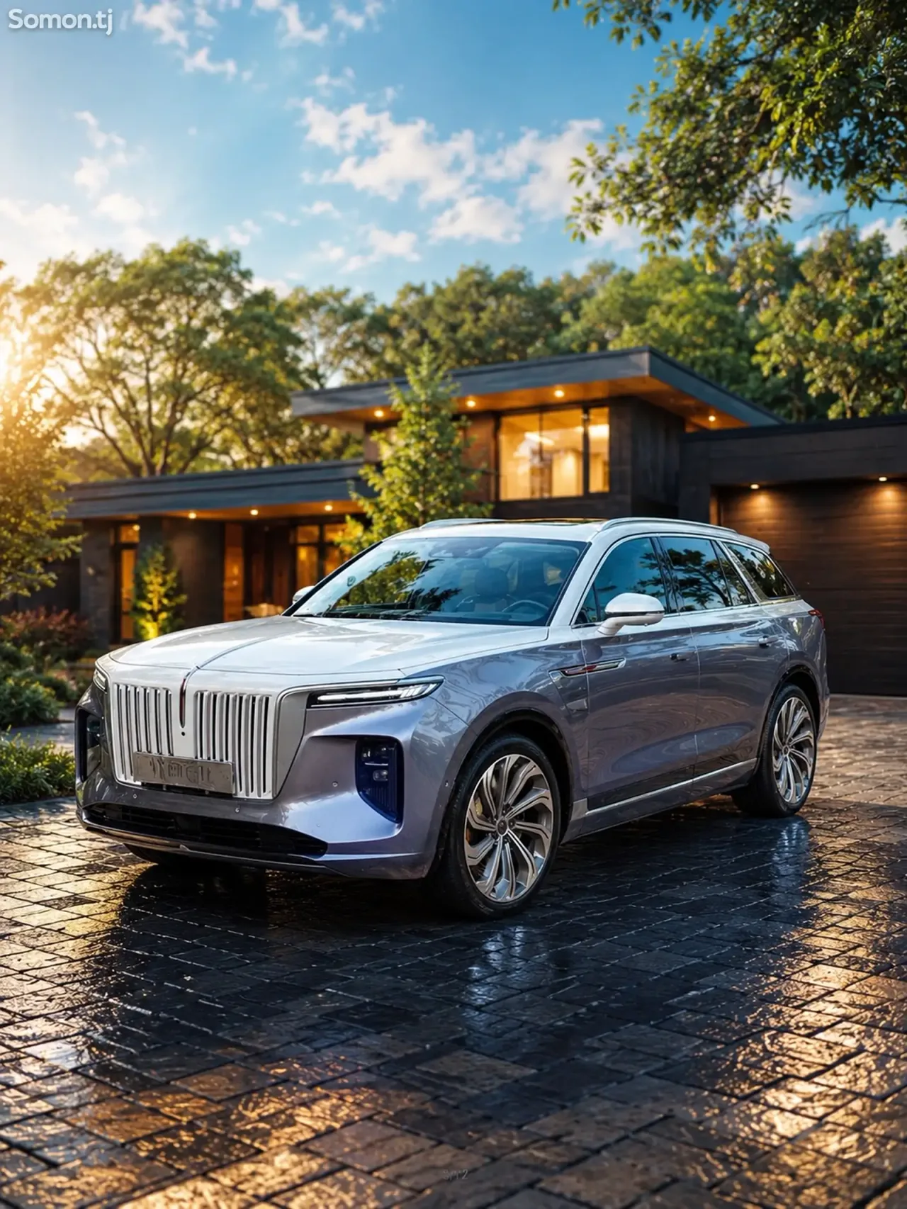 Hongqi E-HS9 2022 · AT