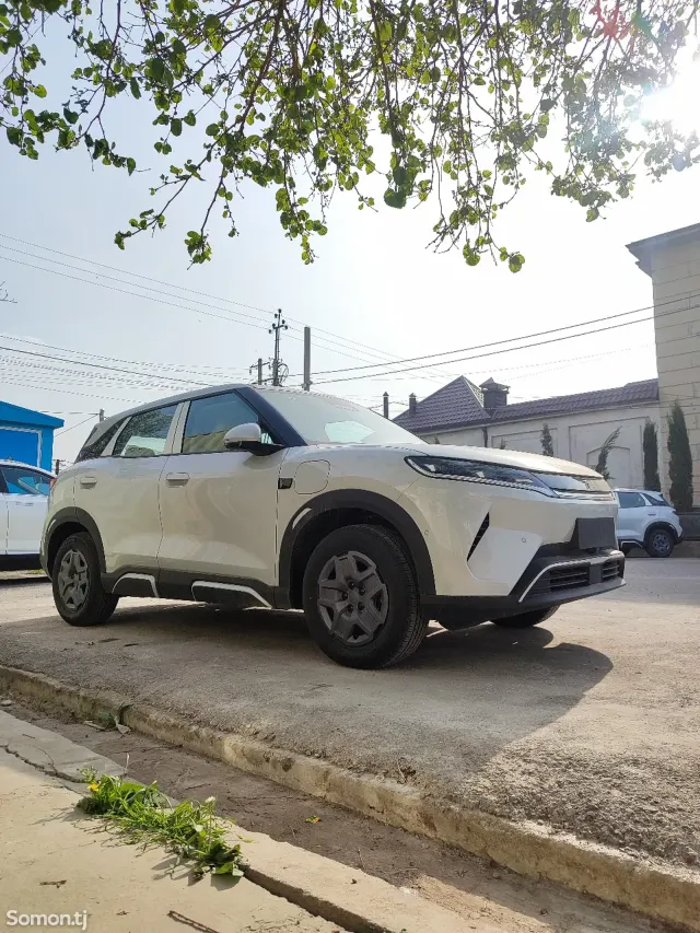 BYD Yuan Up 2025 · AT