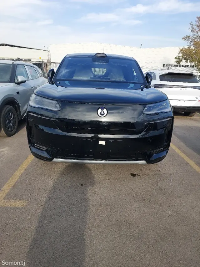 BYD Denza D9 2025 · 3.0 AMT