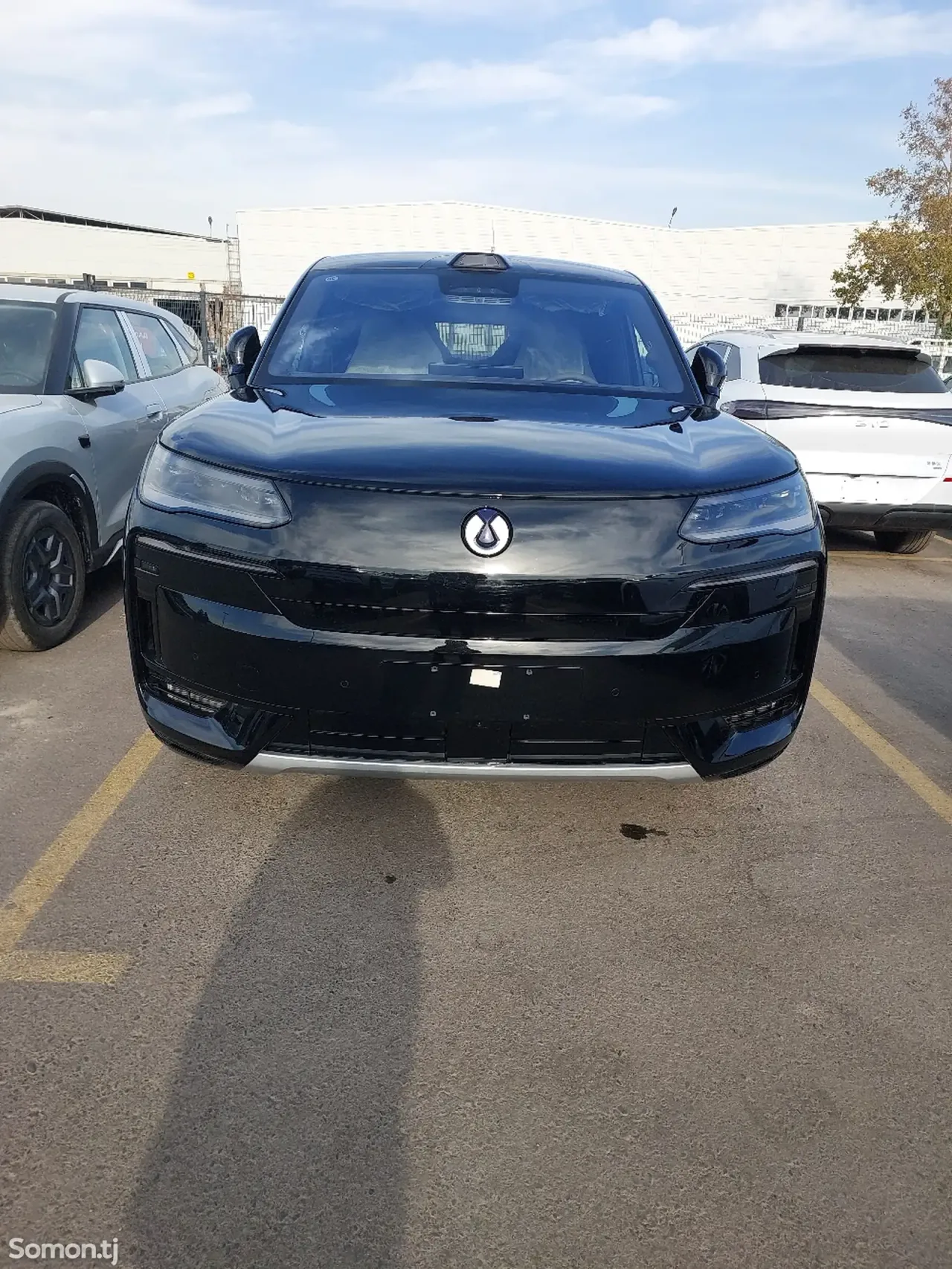 BYD Denza D9 2025 · 3.0 AMT