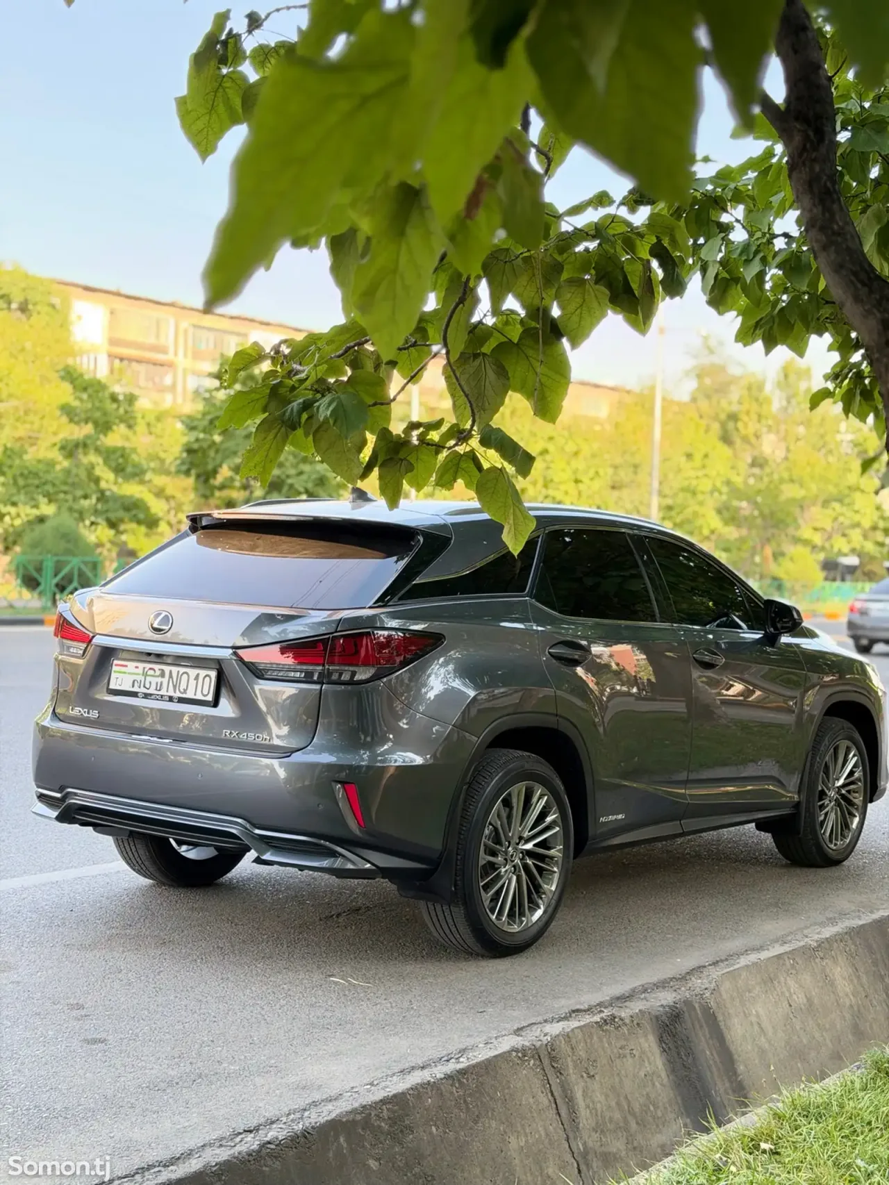 Lexus RX series 2022 · 4.5 AT