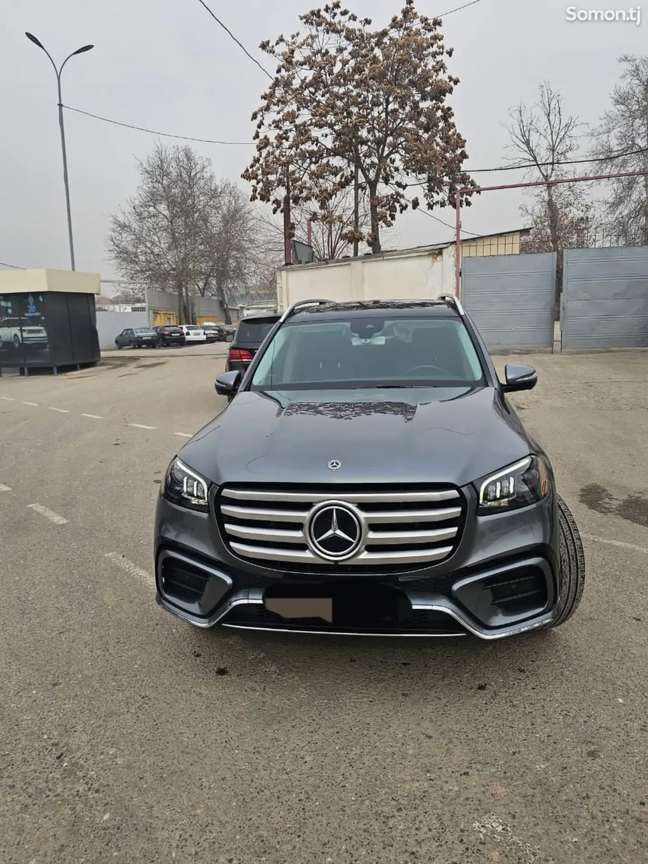 Mercedes-Benz GLS 2020 · 4.5 AT