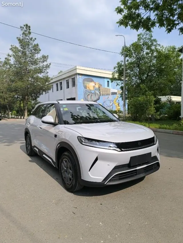 BYD Yuan Up 2025 · AT