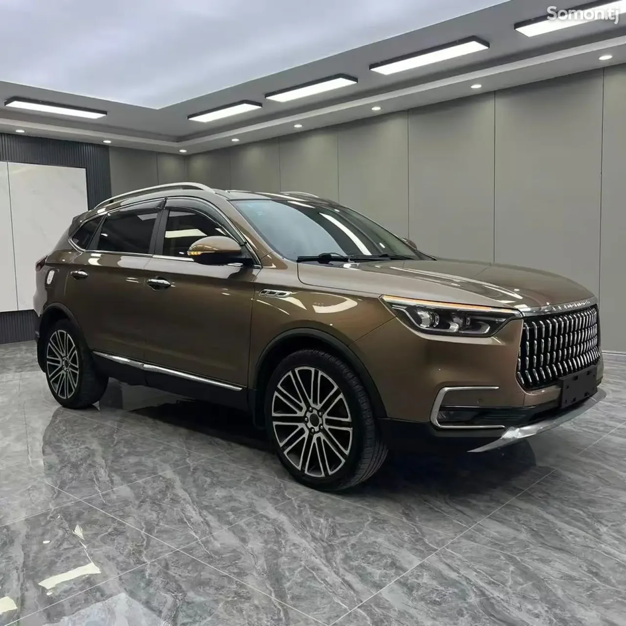 Leopaard Mattu 2019 · 1.6 AT