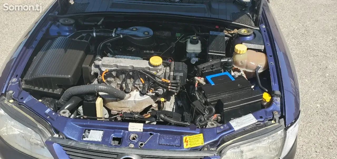 Opel Vectra B 1996 · 1.6 MT