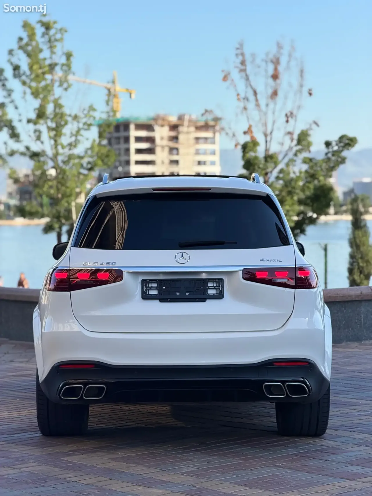 Mercedes-Benz GLS 2020 · 4.5 AT