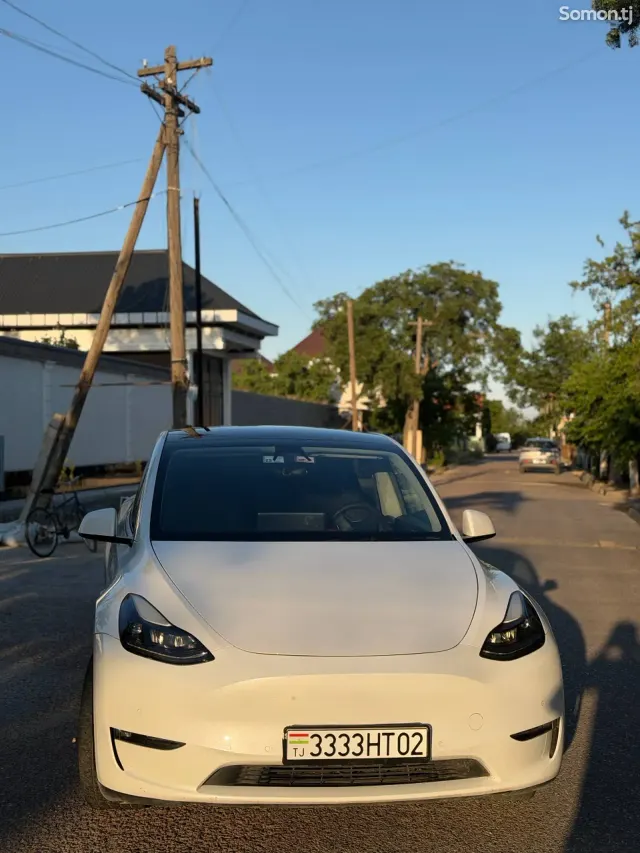 Tesla Model Y 2021 · AT