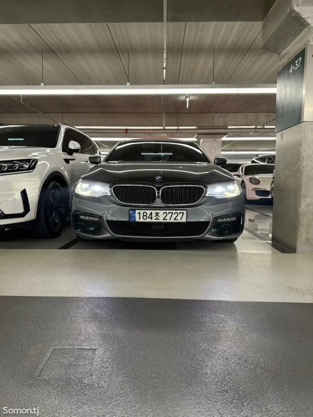 BMW 5 series 2019 · 3.0 AT