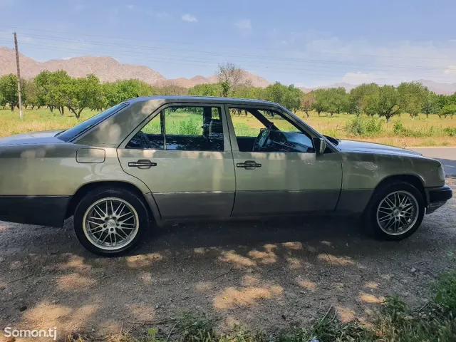 Mercedes-Benz W124 1993 · 2.0 AT
