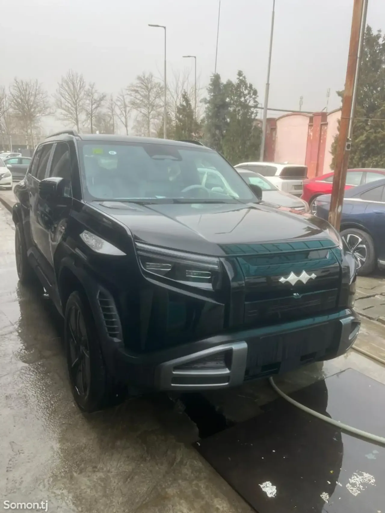 BYD Leopard 3 2025 · AT
