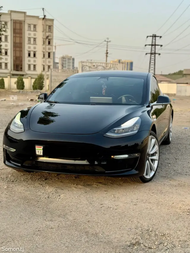 Tesla Model 3 2019 · AMT