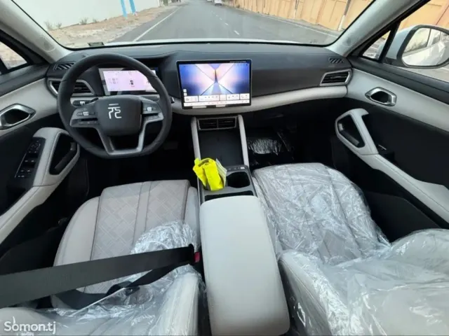 BYD Yuan Up 2025 · AMT